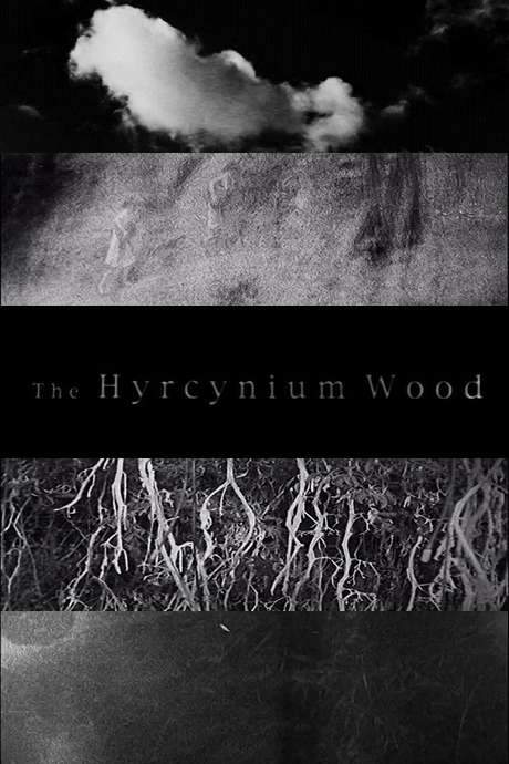 The Hyrcynium Wood